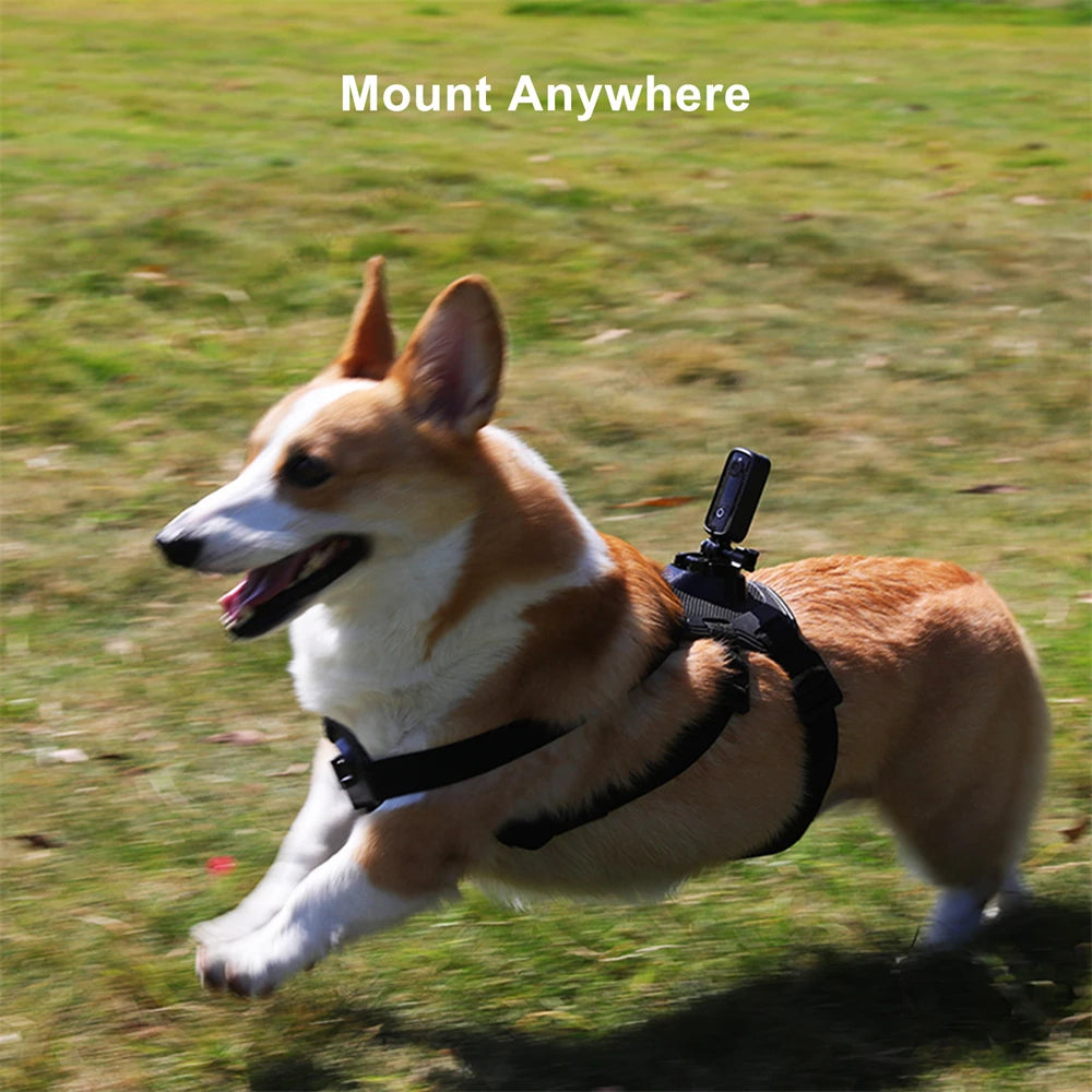 SJCAM C100 Plus 4K Action Camera